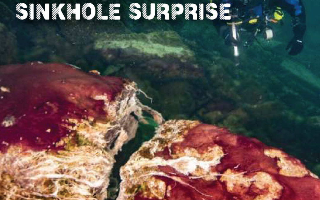 Lake Huron Sinkhole Surprise